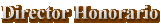 Director Honorario